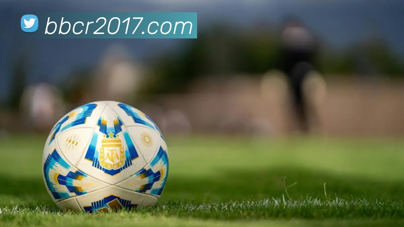 v体育网站平台生态图
